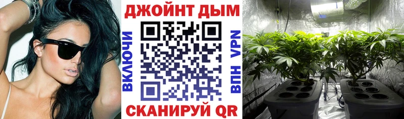 Наркошоп купить Псилоцибиновые грибы  МЕФ  Alpha PVP  ГАШИШ  Каннабис  Новая Ладога