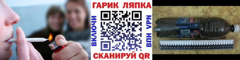 Купить  Новая Ладога  ГАШИШ Premium 