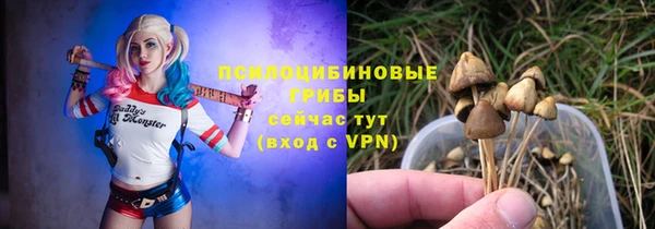 бошки Заводоуковск