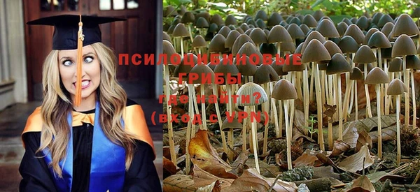гидра Заволжье