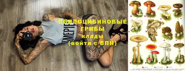бошки Заводоуковск