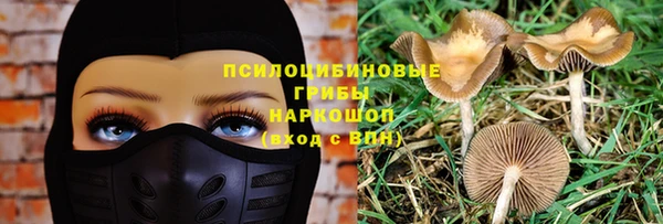гидра Заволжье