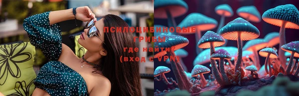 бошки Заводоуковск