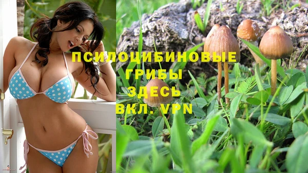 бошки Заводоуковск