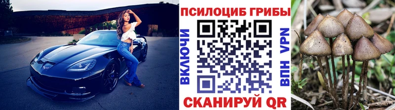 Псилоцибиновые грибы Psilocybine cubensis  Купить  Новая Ладога 
