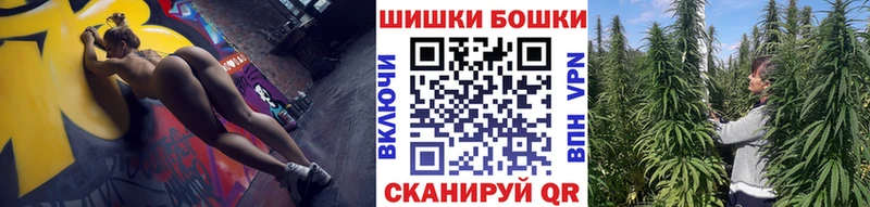Купить закладки  Новая Ладога  Канабис White Widow 